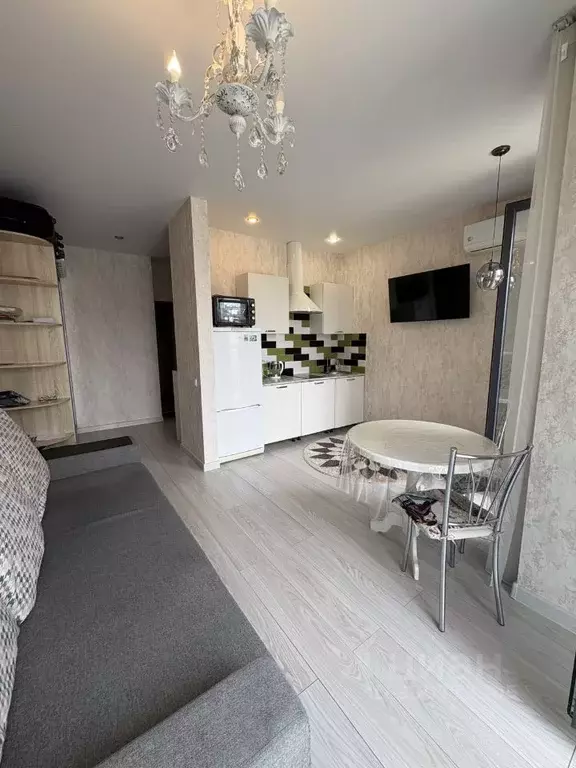 Студия Краснодарский край, Сочи Экран СНТ, 58А (25.0 м) - Фото 2
