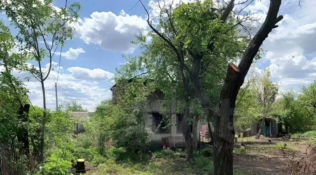 Участок в Белгородская область, Белгород Котельщик садовое ... - Фото 2