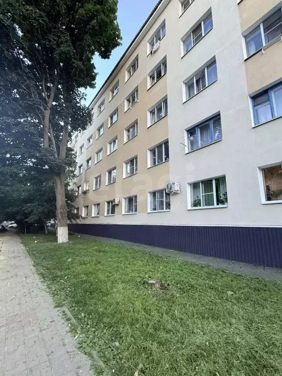 Комната Белгородская область, Губкин ул. Фрунзе, 12Б (16.5 м) - Фото 1