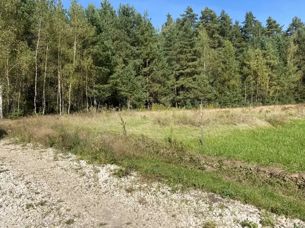 Участок в Московская область, Богородский городской округ, Северный ... - Фото 1