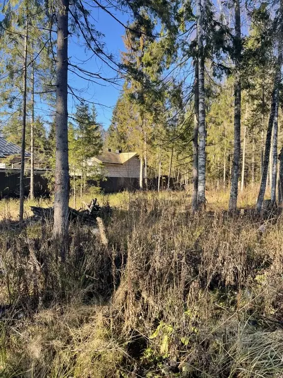 Участок в Московская область, Сергиево-Посадский городской округ, д. ... - Фото 1