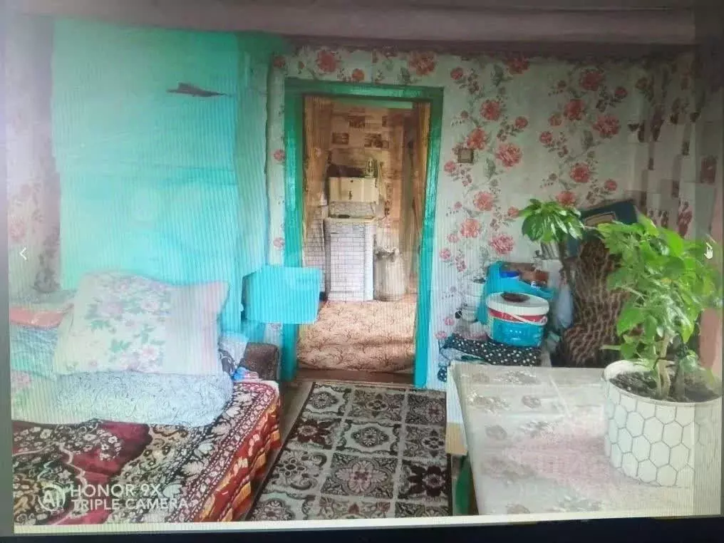 Дом в Томская область, Шегарское с/пос, с. Мельниково ул. Сибирская ... - Фото 1