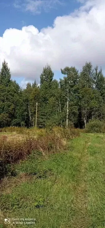 Участок в Ленинградская область, Приозерский район, Ларионовское ... - Фото 1