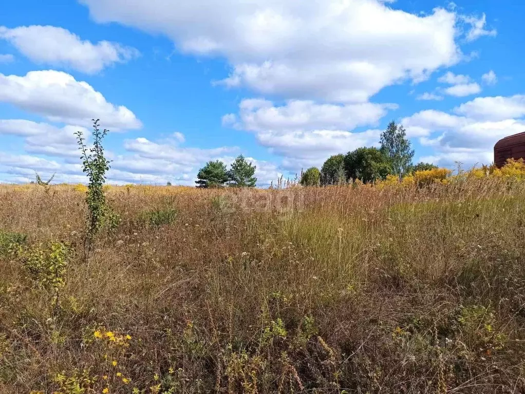 Участок в Брянская область, Брянский район, Добрунское с/пос, д. ... - Фото 1