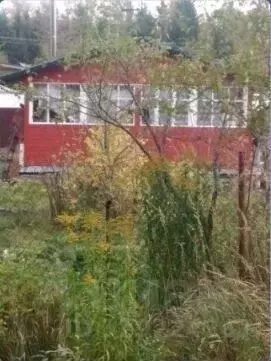 Дом в Ленинградская область, Гатчинский муниципальный округ, Чаща ... - Фото 2