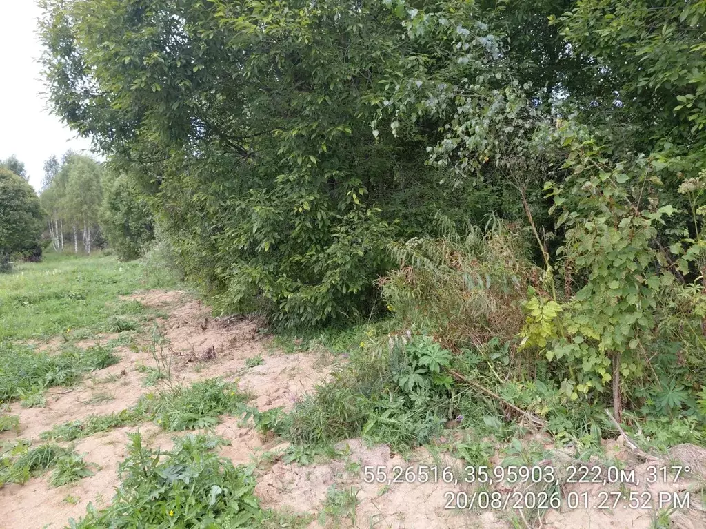 Участок в Московская область, Наро-Фоминский городской округ, д. ... - Фото 1