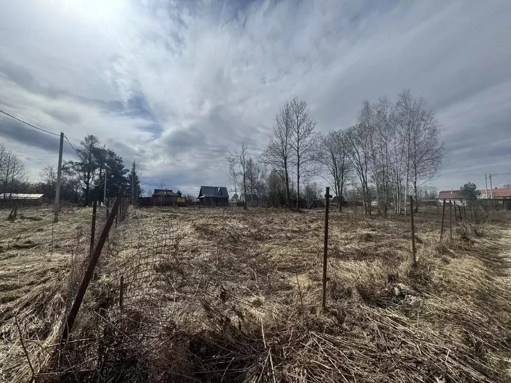 Участок в Московская область, Дмитровский муниципальный округ, д. ... - Фото 2