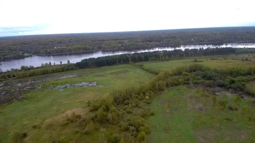 Участок в Ярославская область, Угличский муниципальный округ, деревня ... - Фото 1