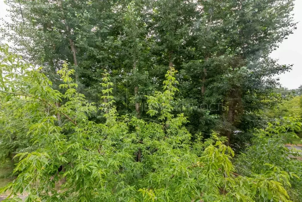 2-комнатная квартира: Тюмень, улица Белинского, 30 (44.3 м) - Фото 1