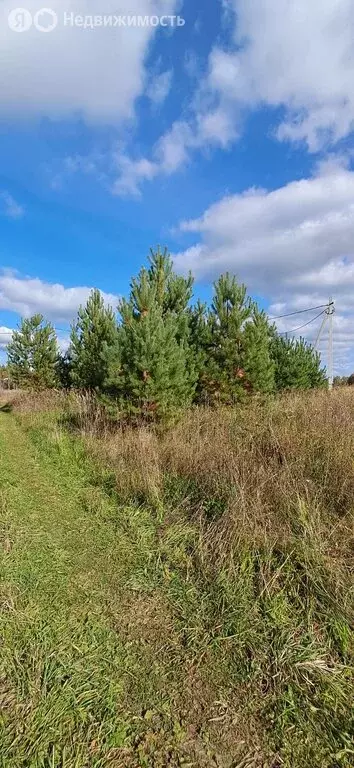 Участок в Нижегородская область, Богородский муниципальный округ, ДП ... - Фото 0