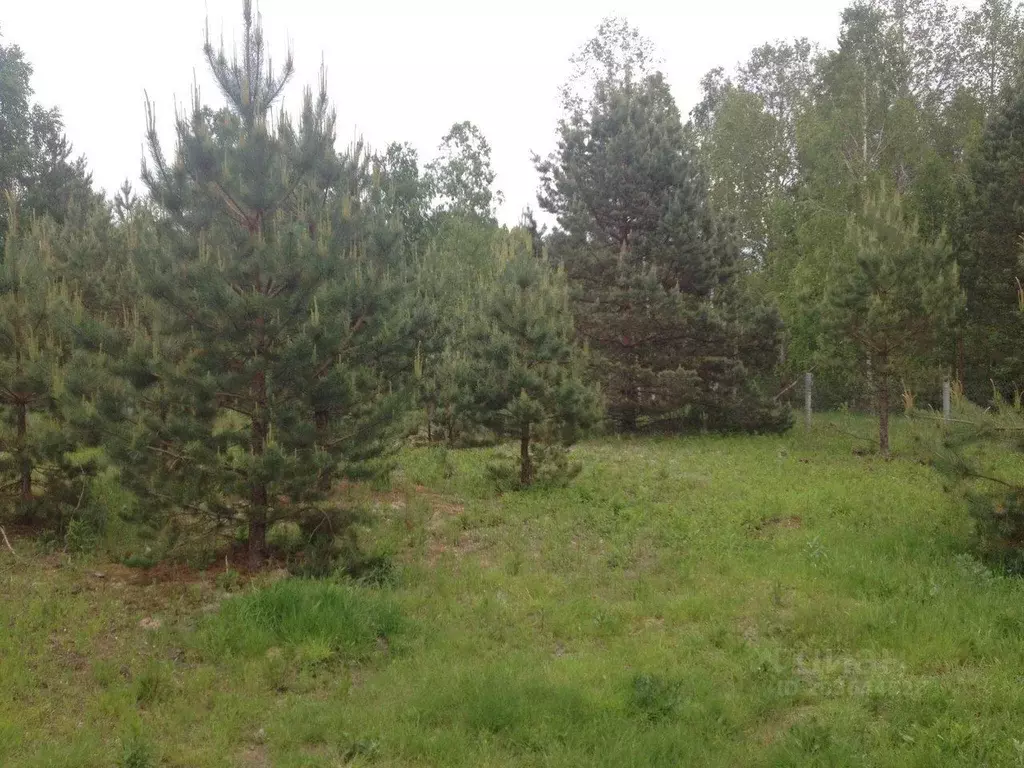 Участок в Рязанская область, Клепиковский муниципальный округ, д. ... - Фото 2