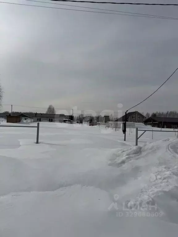 Участок в Новосибирская область, Новосибирский район, Барышевский ... - Фото 1