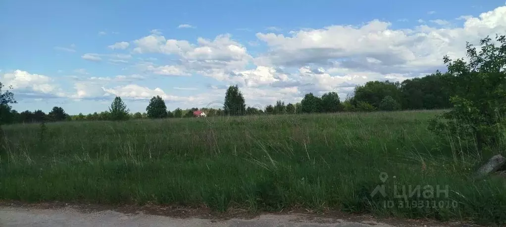 Участок в Калужская область, Боровский район, Совьяки с/пос, д. ... - Фото 2