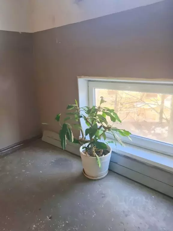 2-к кв. Калининградская область, Советск ул. Розы Люксембург, 5 (46.4 ... - Фото 2