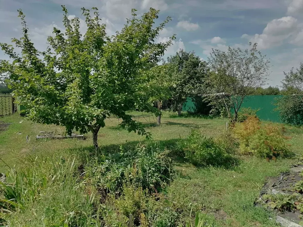 Дом в Мордовия, Саранск городской округ, Луховка рп ул. Совхозная, 4 ... - Фото 1