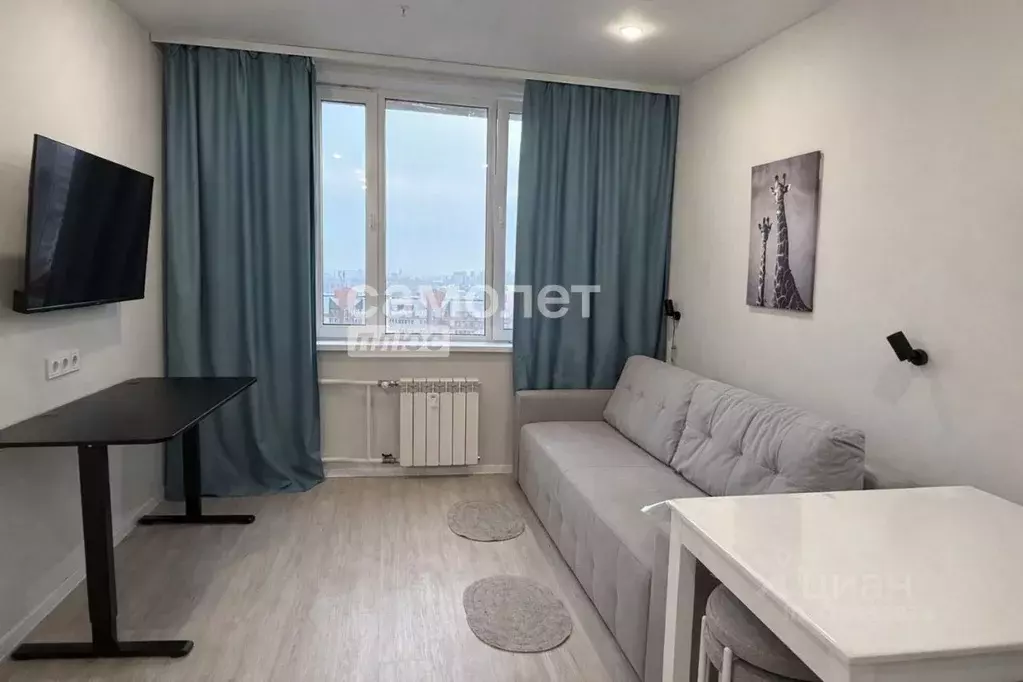 Студия Новосибирская область, Новосибирск ул. Кирова, 113/2 (20.5 м) - Фото 1