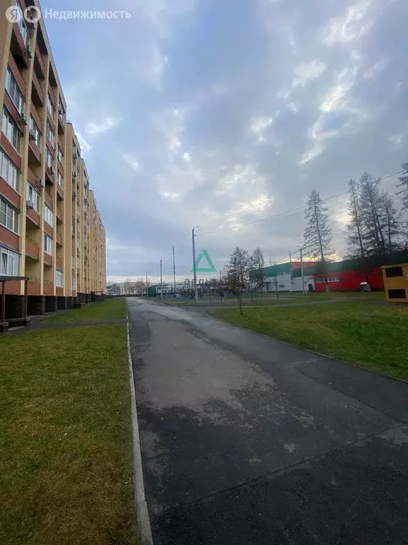 Квартира-студия: Михайловка, Сливовая улица, 1/1 (24.7 м) - Фото 2