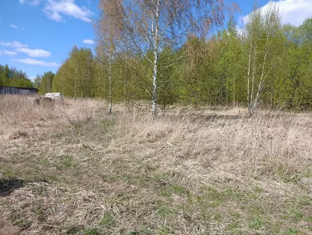 Участок в Владимирская область, Суздальский муниципальный округ, с. ... - Фото 2