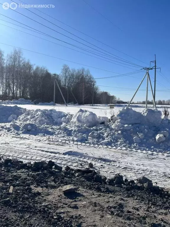 Участок в Тюменский район, СНТ Москвичка, Малиновая улица (50.03 м) - Фото 0