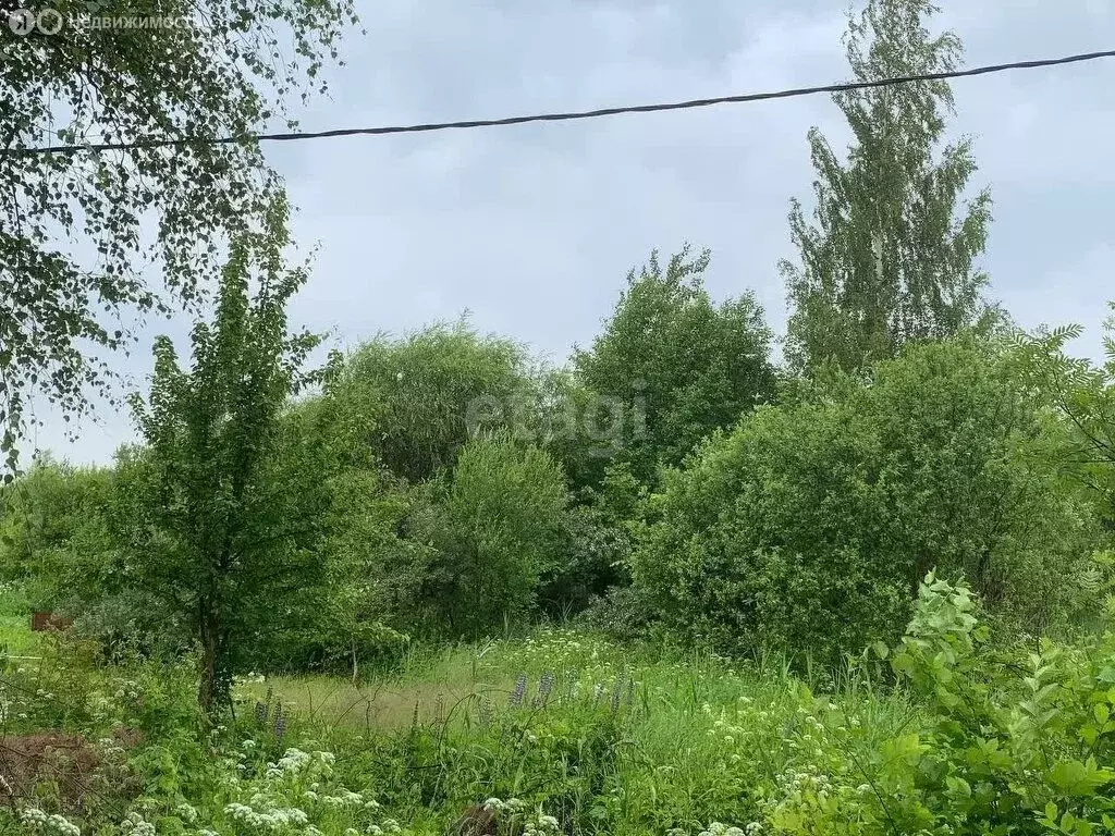Участок в Ярославская область, Рыбинский муниципальный округ, село ... - Фото 1