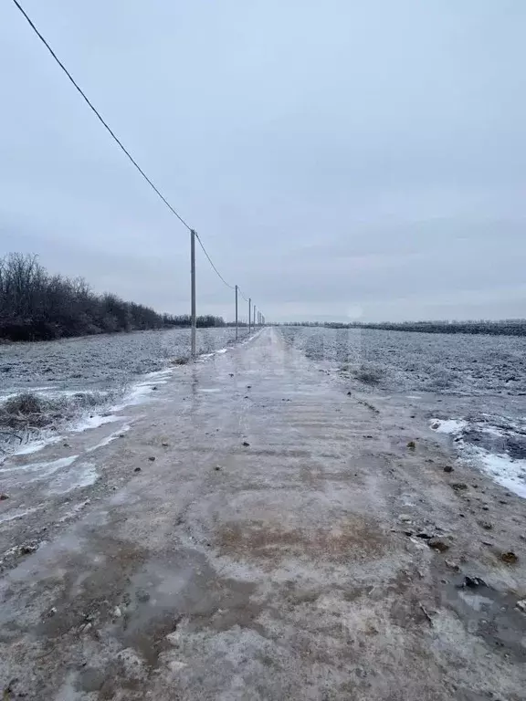 Участок в Ростовская область, Мясниковский район, Краснокрымское ... - Фото 0