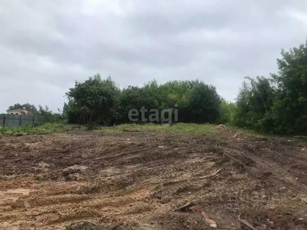 Участок в Нижегородская область, Выкса городской округ, ... - Фото 0