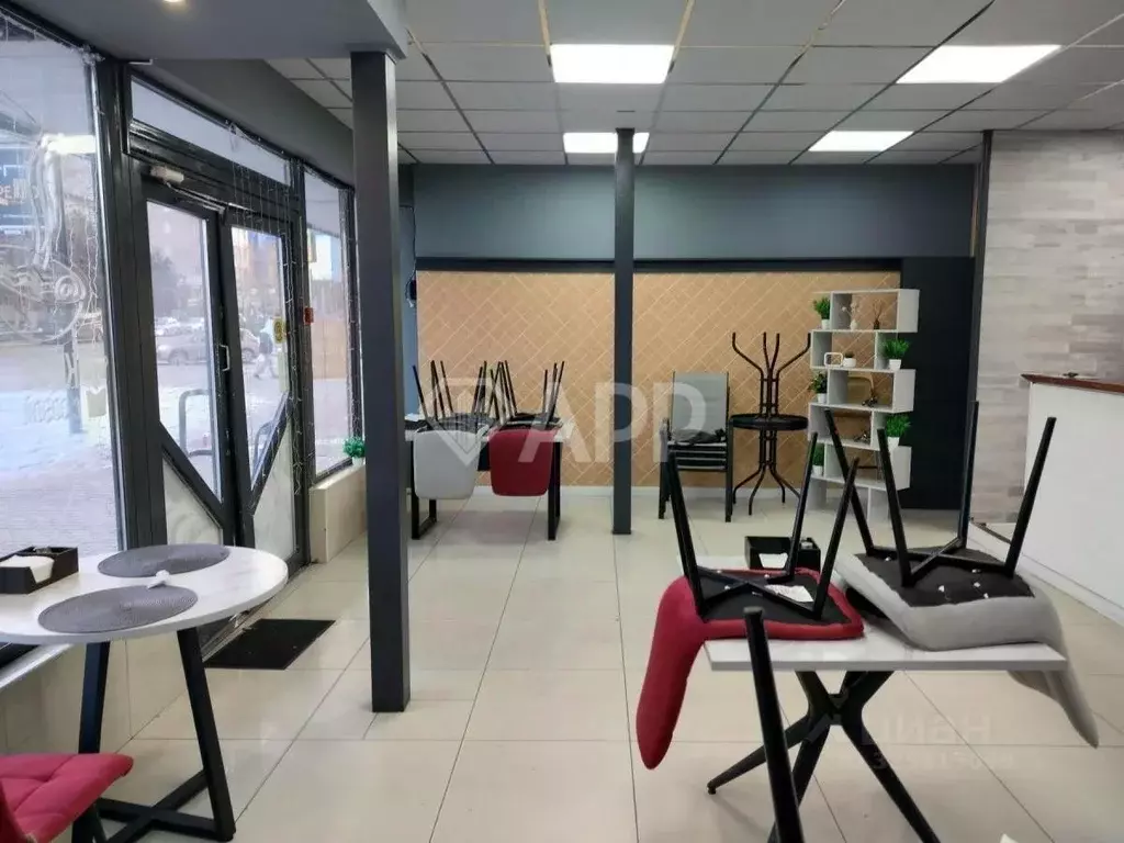 Помещение свободного назначения в Краснодарский край, Анапа ... - Фото 1