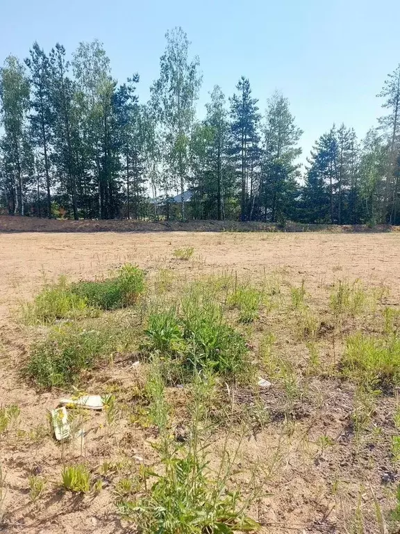 Участок в Московская область, Щелково городской округ, Орловские ... - Фото 2