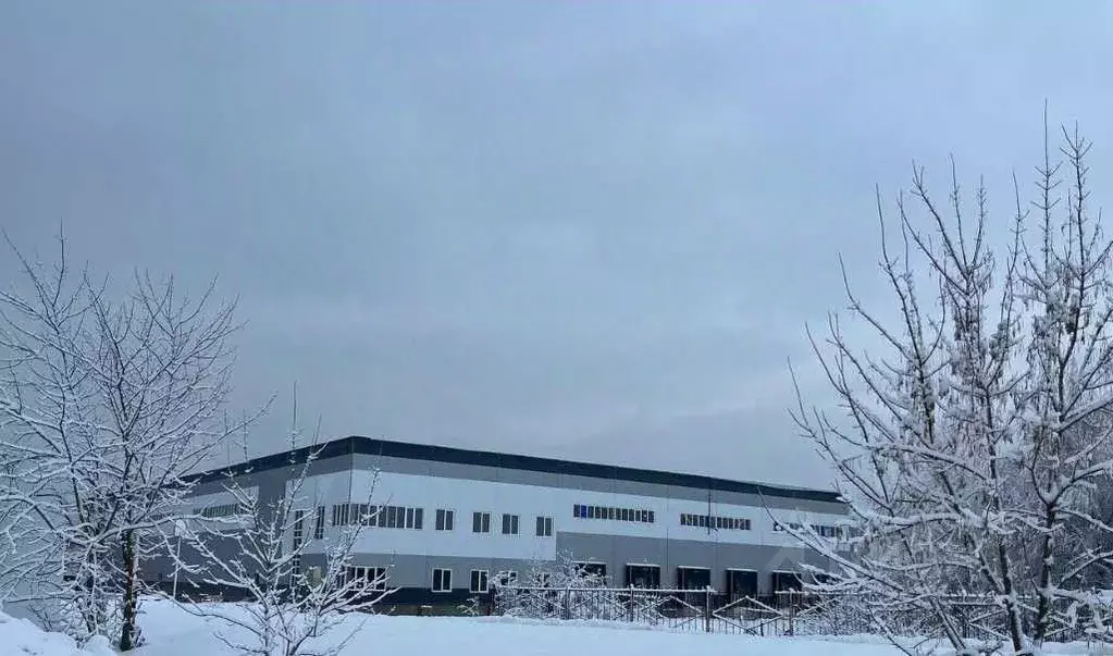 Склад в Московская область, Ногинск Богородский городской округ, ш. ... - Фото 1