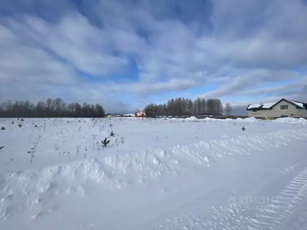 Участок в Тюменская область, Тюменский район, Новокаменский кп ул. ... - Фото 0