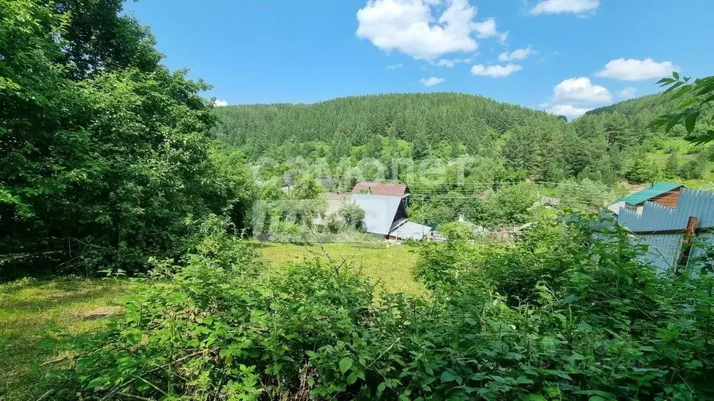 Участок в Алтайский край, Белокуриха Алтайская ул., 53 (15.0 сот.) - Фото 1