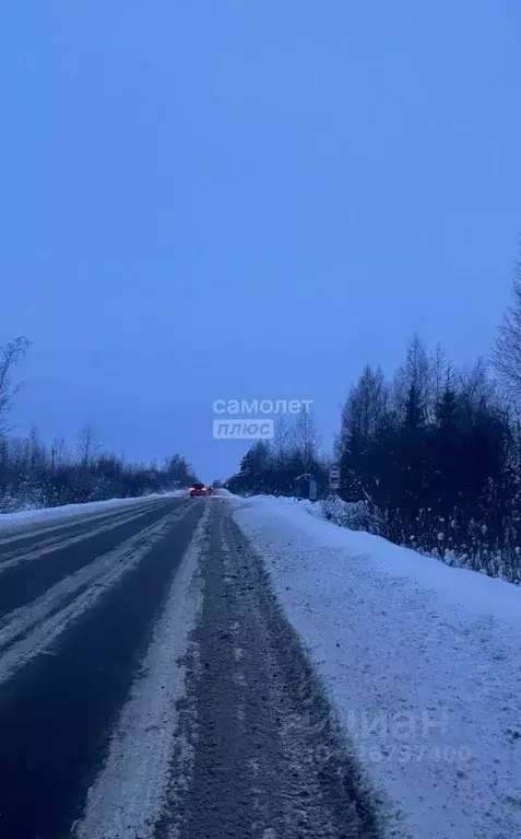 Участок в Ярославская область, Рыбинский муниципальный округ, д. ... - Фото 2