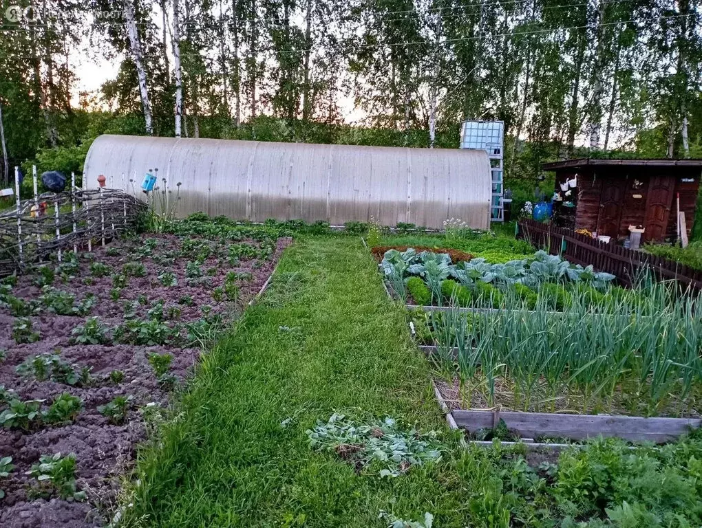 Участок в Нижегородская область, муниципальный округ Семёновский, ... - Фото 1
