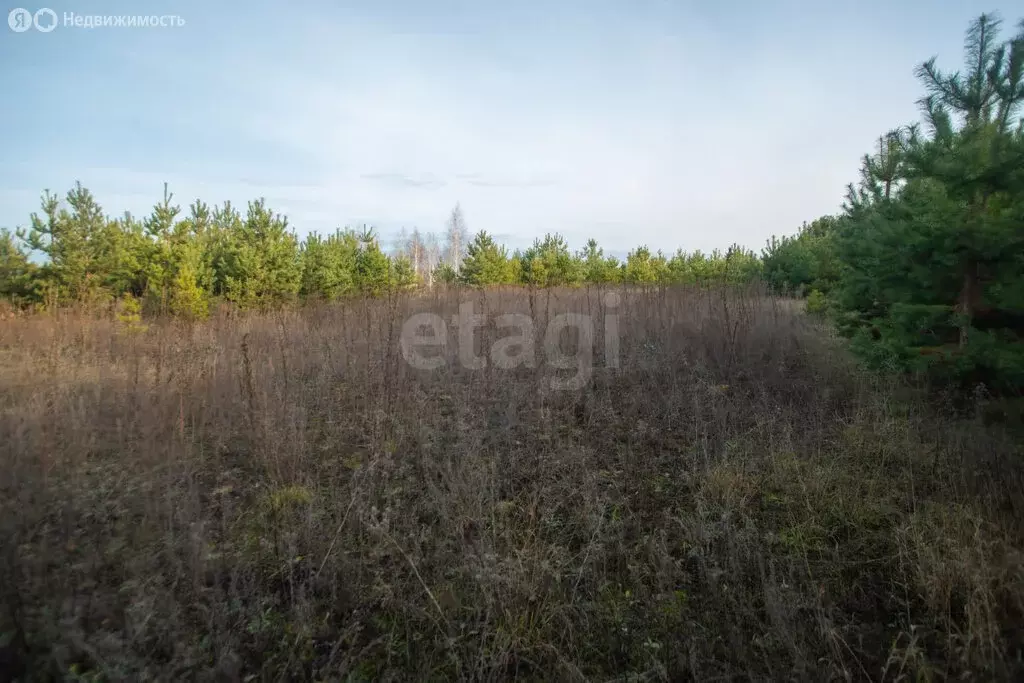 Участок в Архангельское, микрорайон Зенит (6 м) - Фото 2