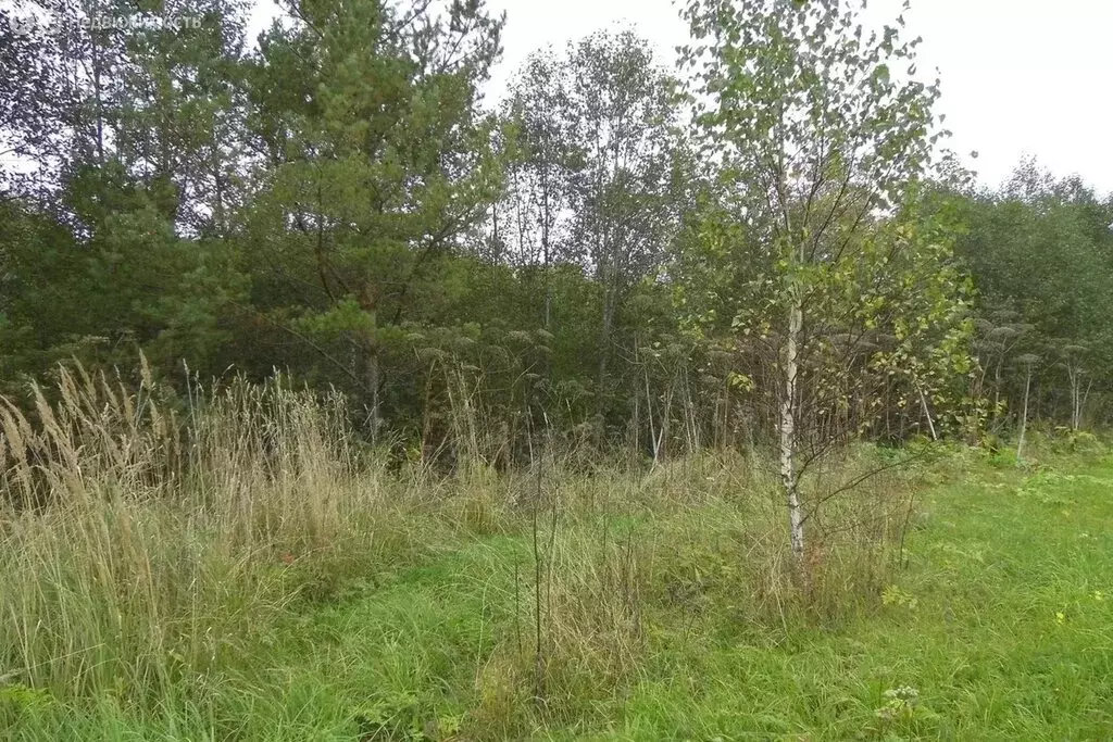 Участок в Нижегородская область, Лысковский муниципальный округ, село ... - Фото 1