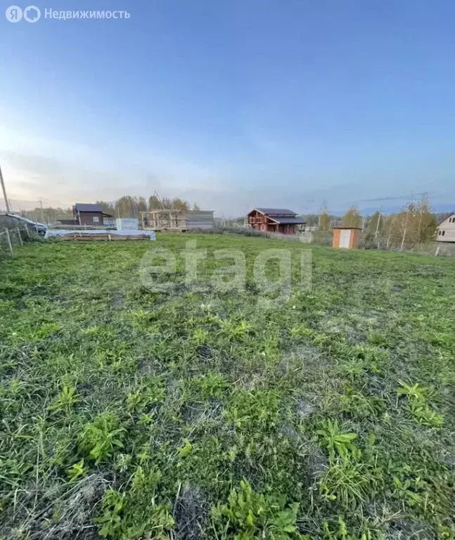 Участок в Томский район, деревня Новомихайловка, ДНП Кедры, ... - Фото 1