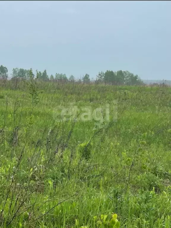 Дом в Калужская область, Малоярославецкий муниципальный округ, ... - Фото 1
