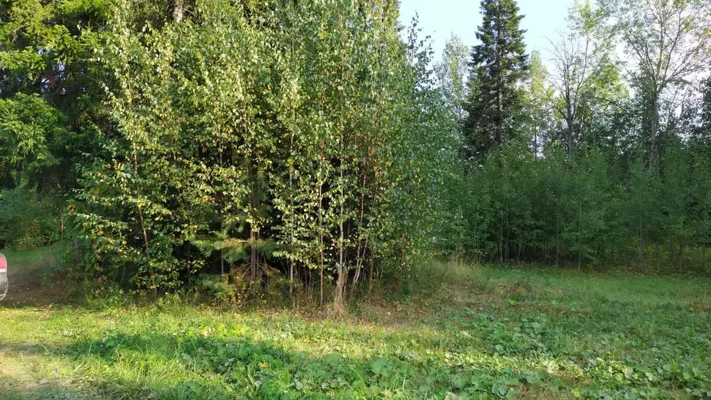 Участок в Свердловская область, Ревда муниципальный округ, пос. ... - Фото 2