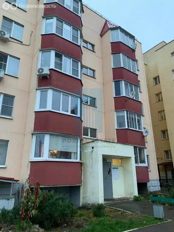 1-комнатная квартира: Новый Быт, Новая улица, 43 (39 м) - Фото 1