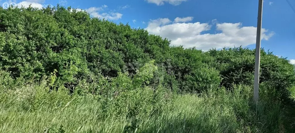 Участок в село Дальняя Игуменка, улица Кураковка (16.6 м) - Фото 2