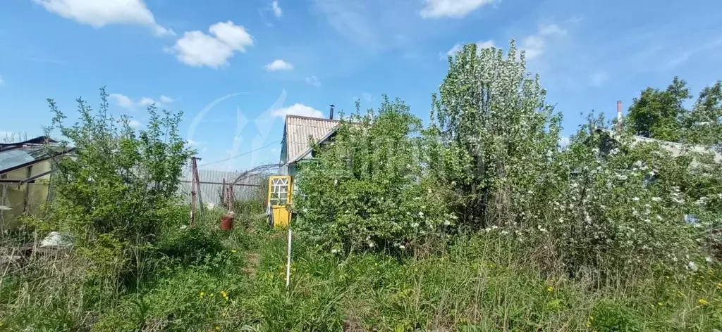 Дом в Курганская область, Курган Зенит СНТ,  (8 м) - Фото 1