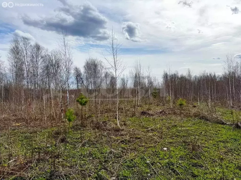 Участок в село Перевалово, коттеджный посёлок Радужный (8.5 м) - Фото 0