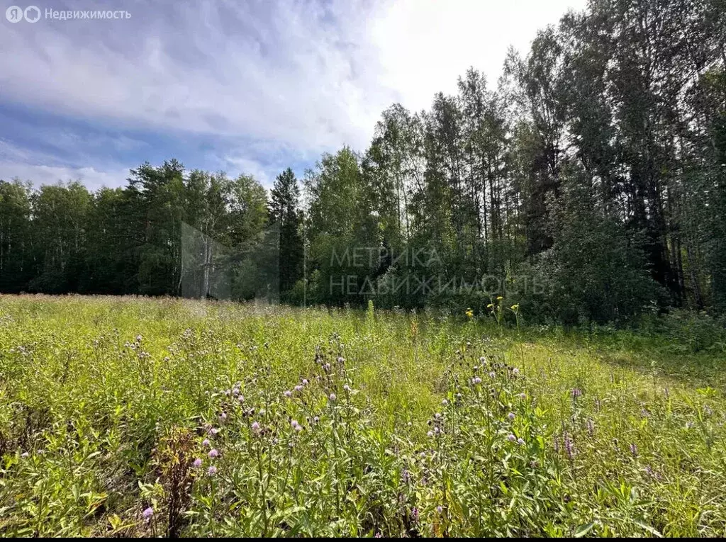 Участок в Тюменский район, село Кулига (8 м) - Фото 1