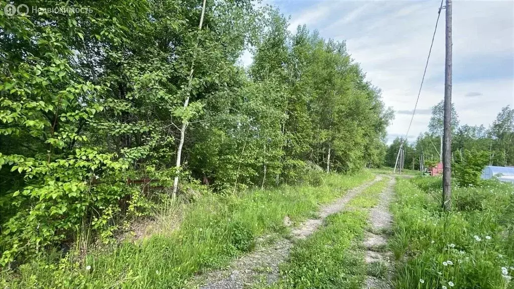 Участок в Хабаровский район, село Сосновка (13 м) - Фото 1