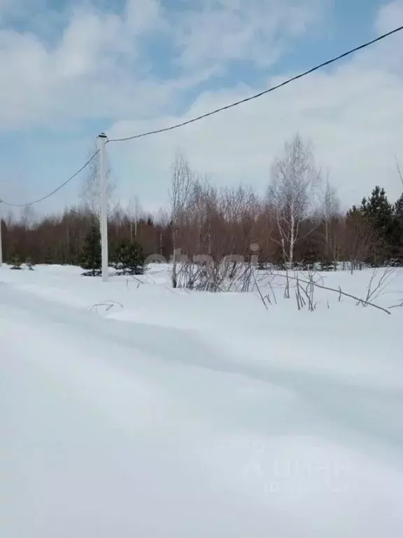 Участок в Свердловская область, Нижний Тагил ул. Большая Кольцевая ... - Фото 0