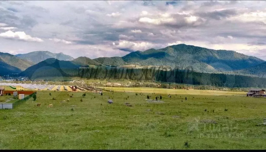 Участок в Алтай, Чемальский район, с. Анос Центральная ул., 41 (13.0 ... - Фото 1