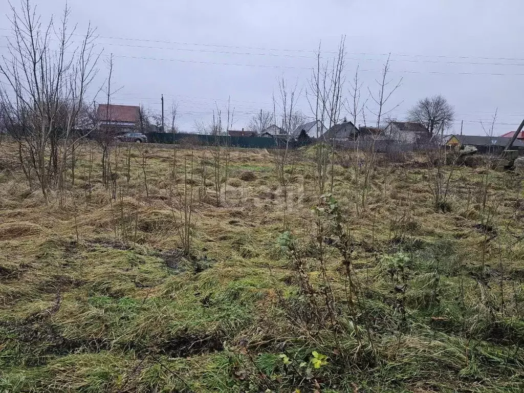 Участок в Калининградская область, Гурьевский муниципальный округ, ... - Фото 0