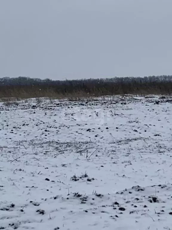 Участок в Белгородская область, Белгородский район, Головинское с/пос, ... - Фото 0