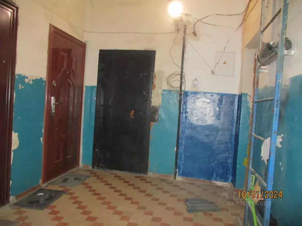 Помещение свободного назначения в Новосибирская область, Новосибирск ... - Фото 1