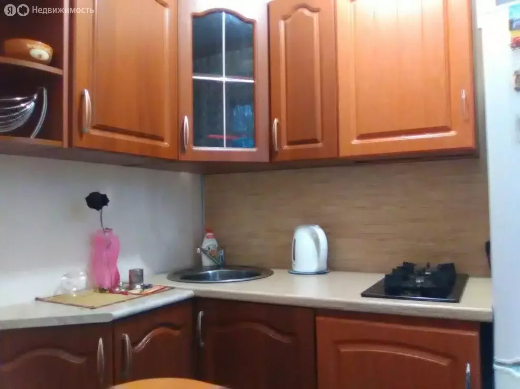 1-комнатная квартира: посёлок Катунино, Матросская улица, 9 (30 м) - Фото 2